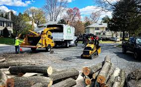 Grass Overseeding in Kentland, IN